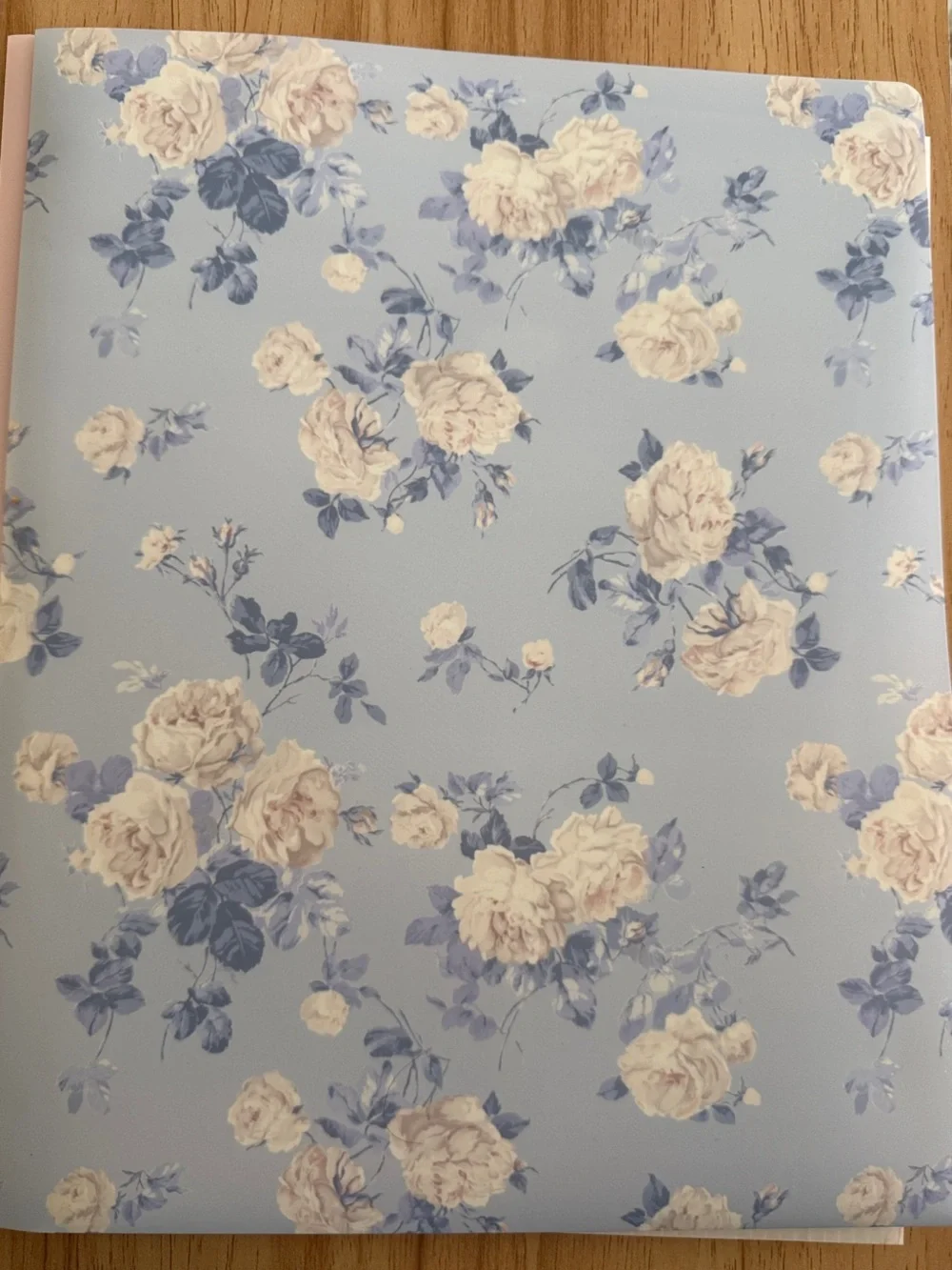 LoveShackFancy x Yoobi Blue and Cream Floral Folder